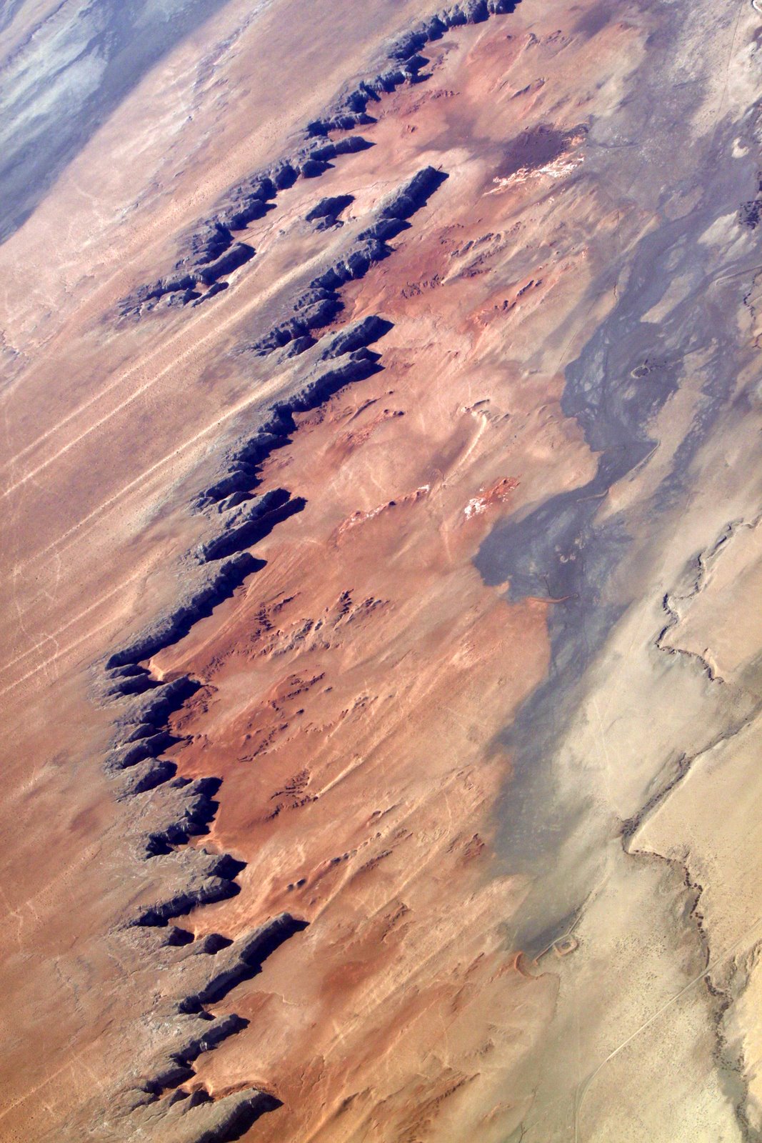 [2009-04-06+115107+4.JPG]