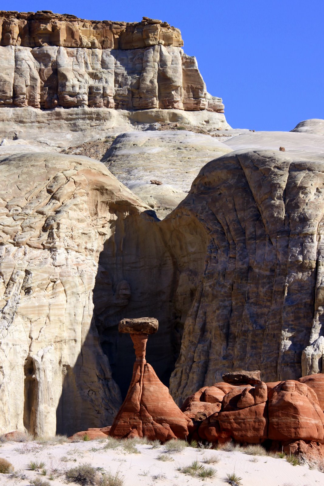 [2009-04-07+095812+4.JPG]