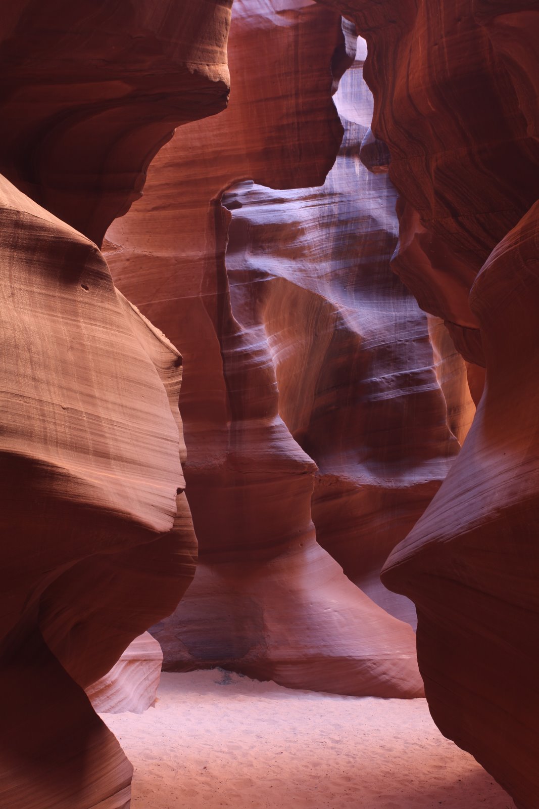 [2009-04-07+131347+3.JPG]