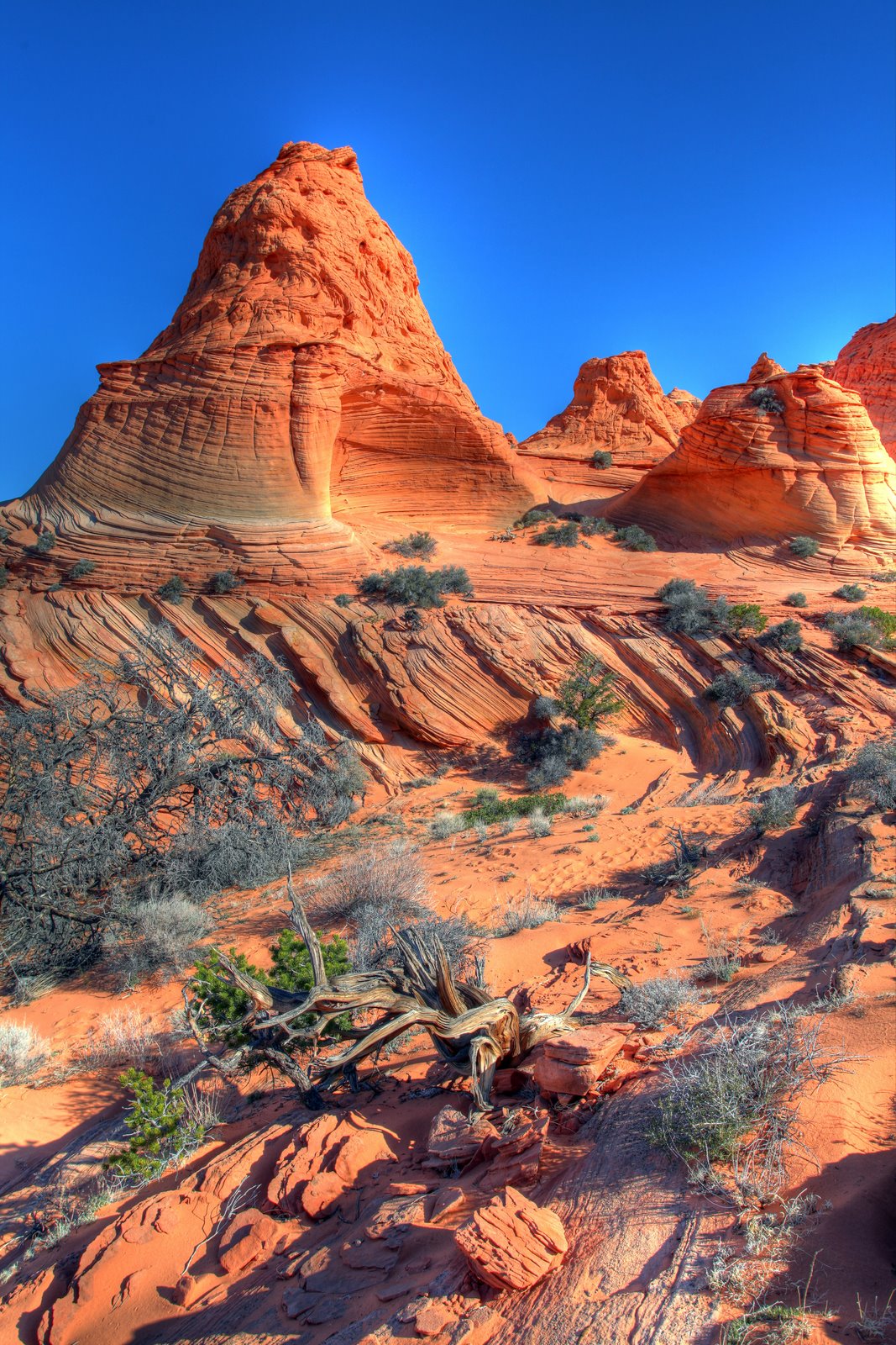 [2009-04-08+094029+0_1_9.jpg]