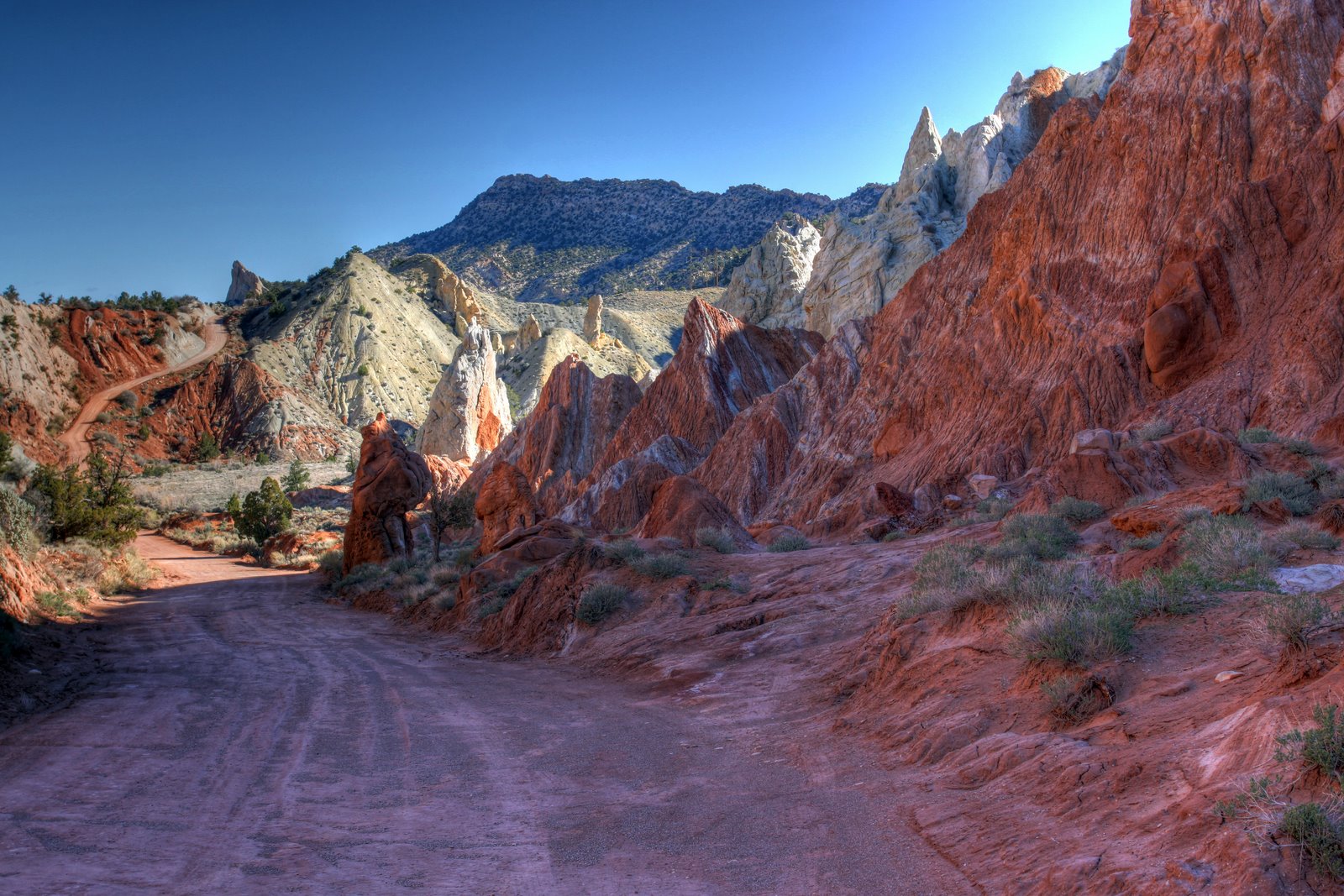 [2009-04-09+094004+4_5_6.jpg]