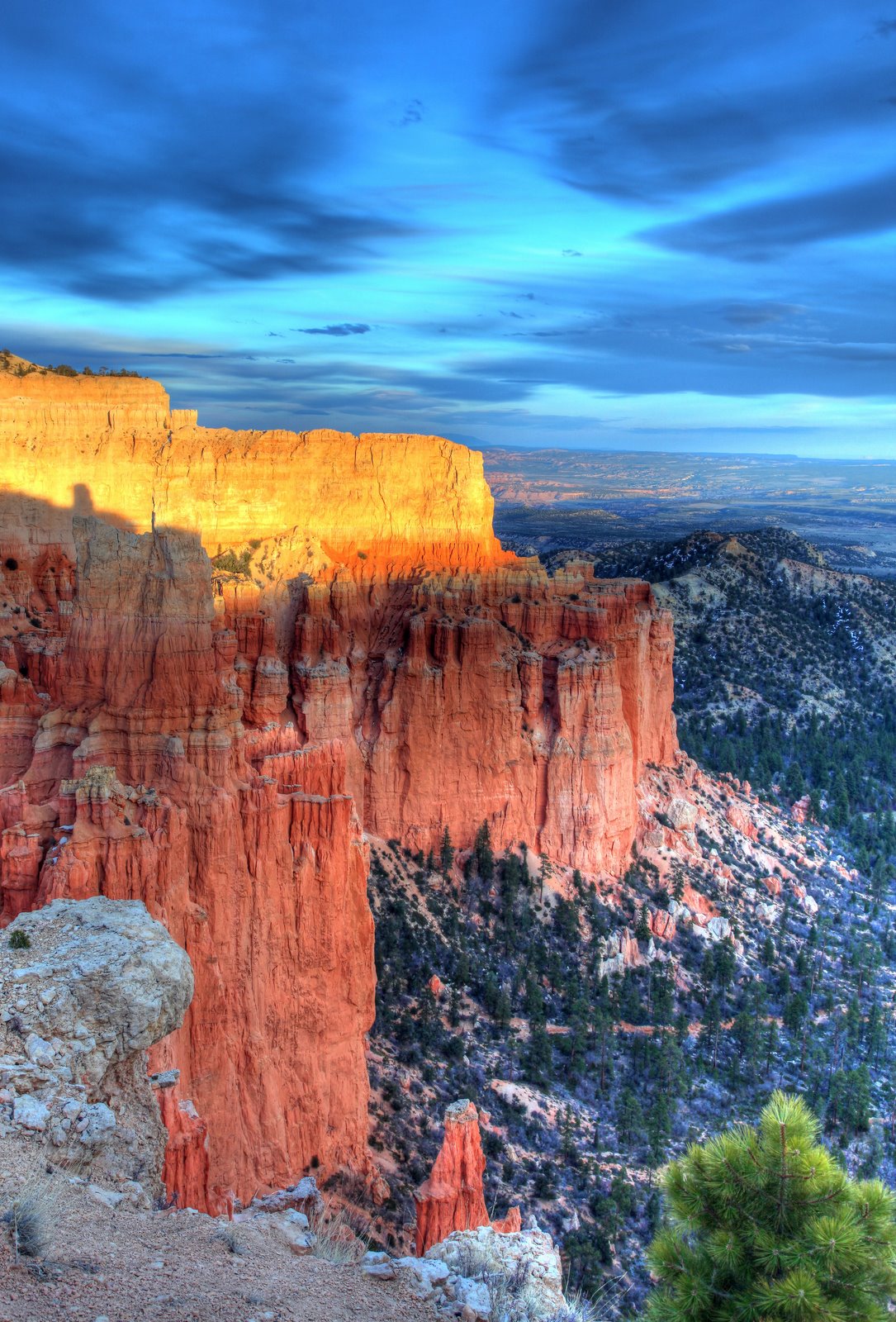 [2009-04-09+193925+2_6+3_6+4.jpg]