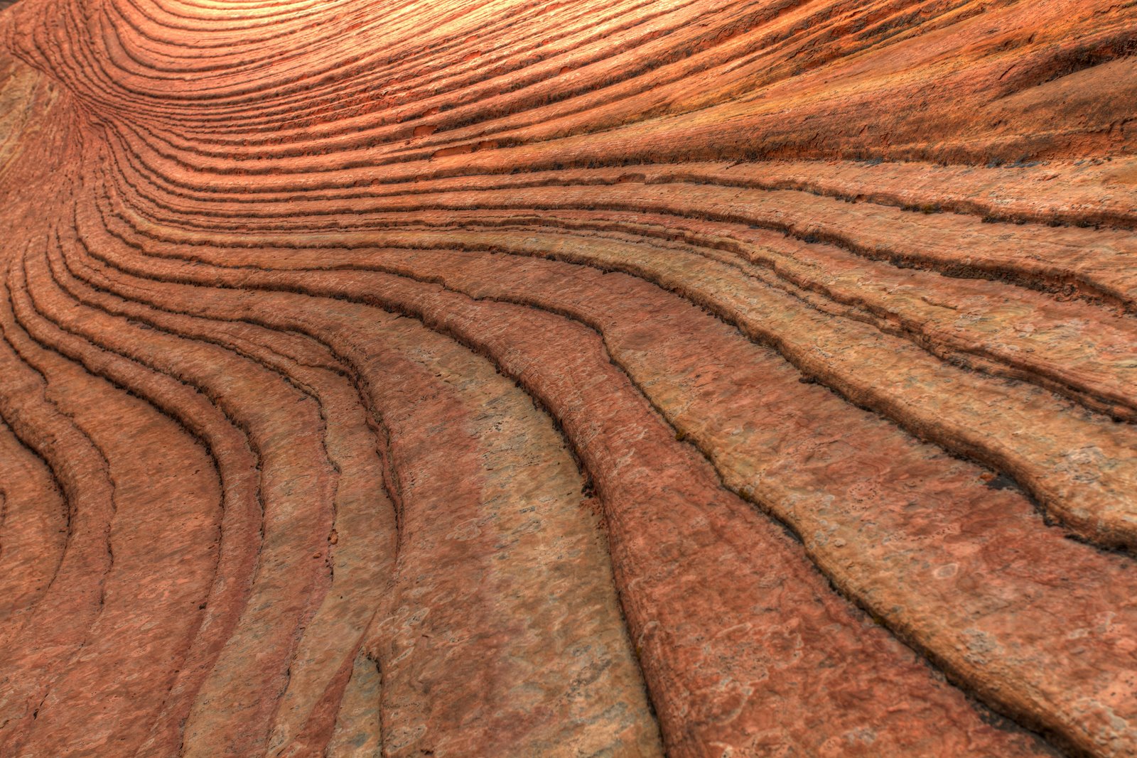 [2009-04-10+134146+2_6+3_7+4.jpg]