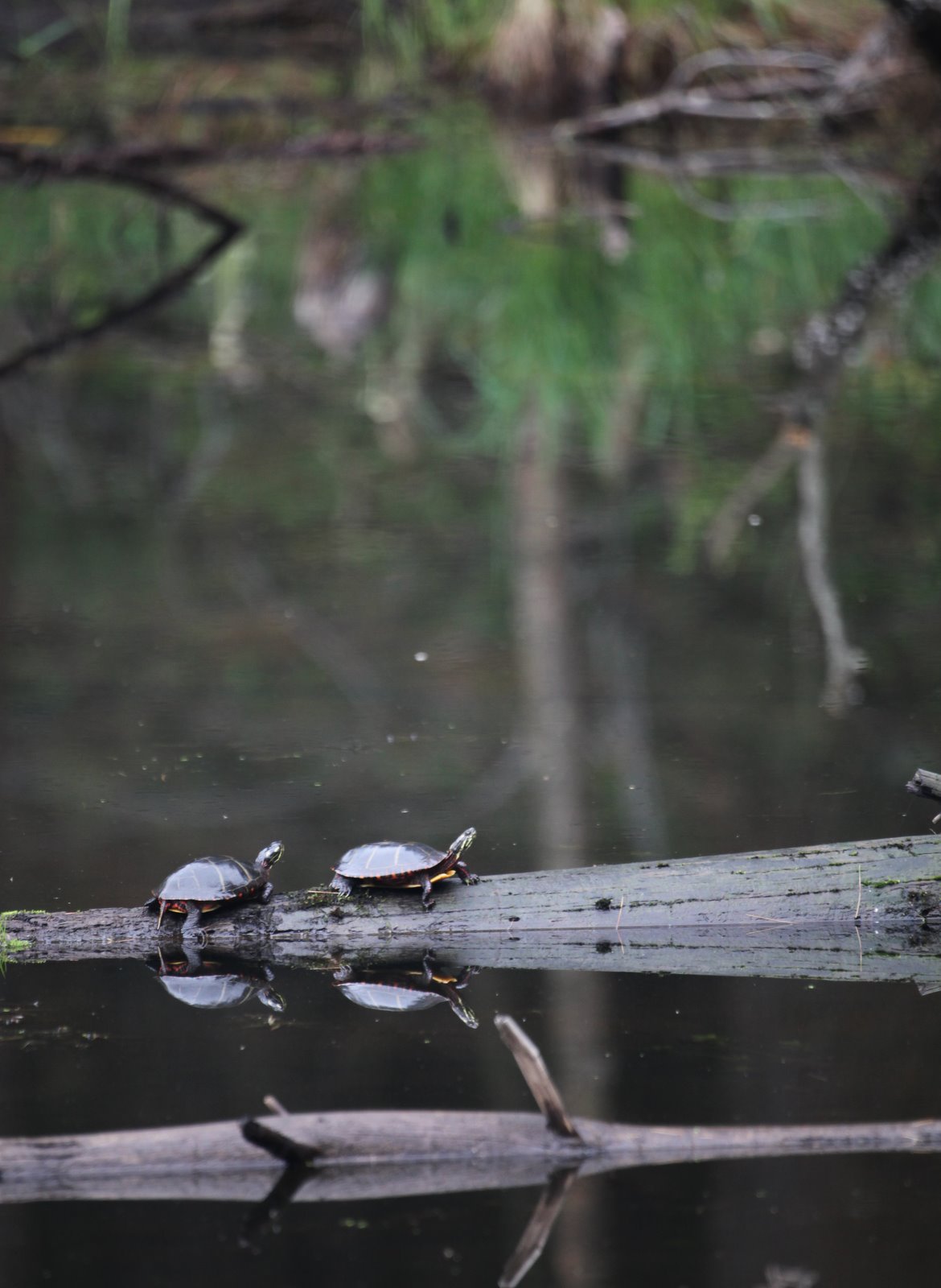 [2009-05-09+081520+4.JPG]