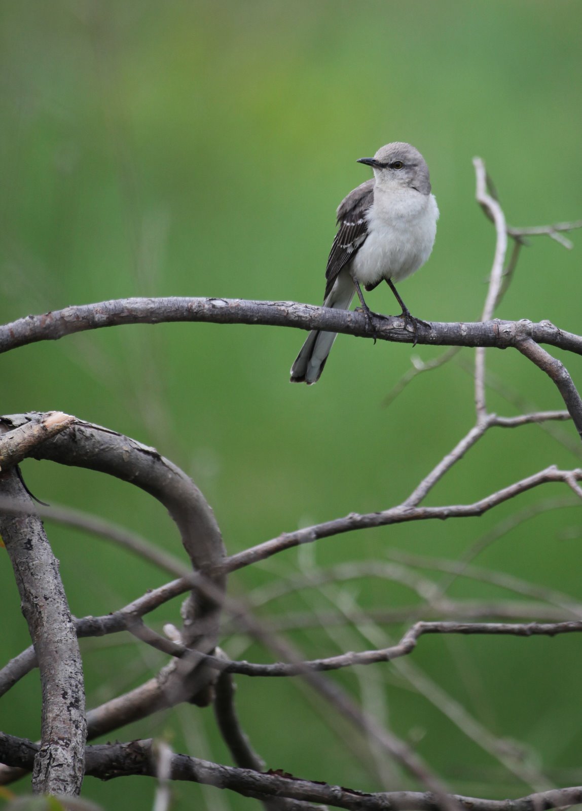 [2009-05-09+083000+9.JPG]