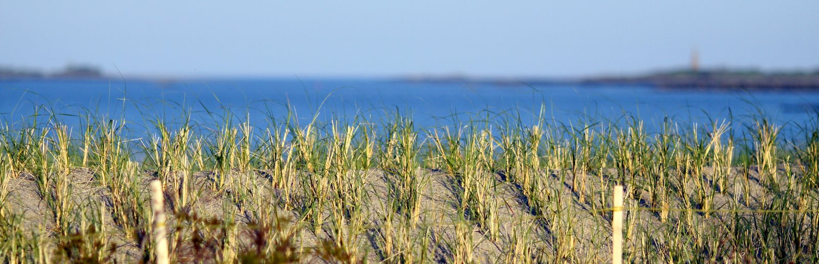 [2009-05-24+191146+3.JPG]