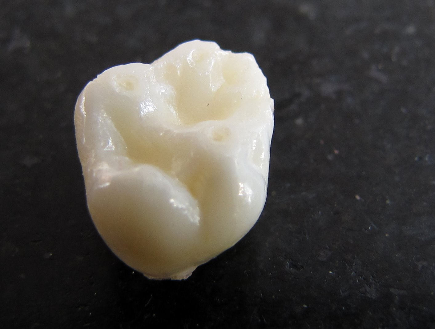 [2009-06-02+055523+6.JPG]