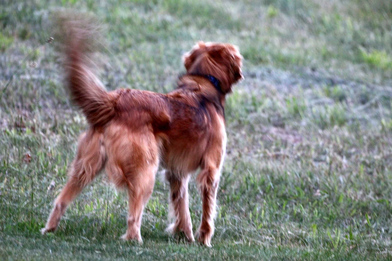 [2009-06-06+202439+7.JPG]