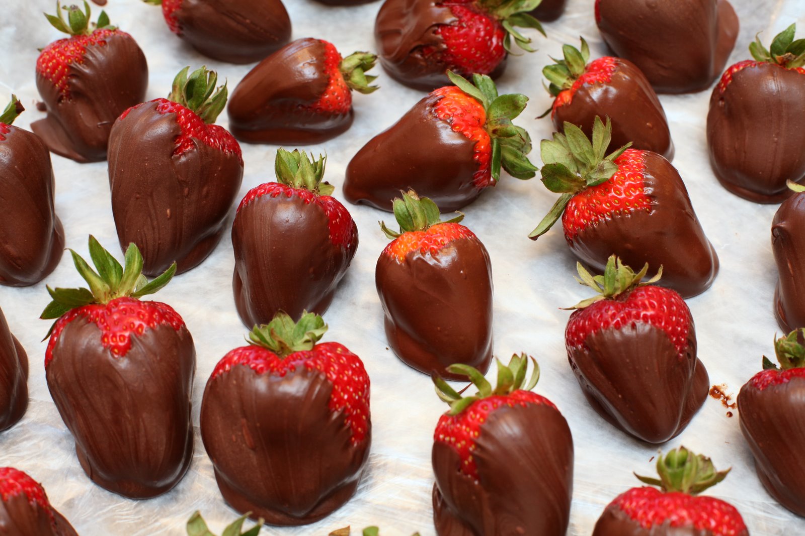 [2009-06-23+200520+2.JPG]