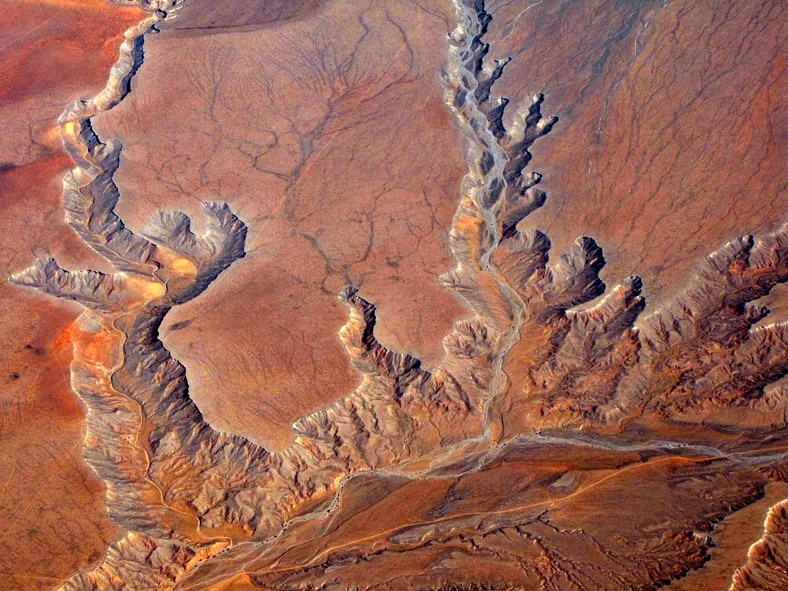 [2009-07-08+111442+8.JPG]