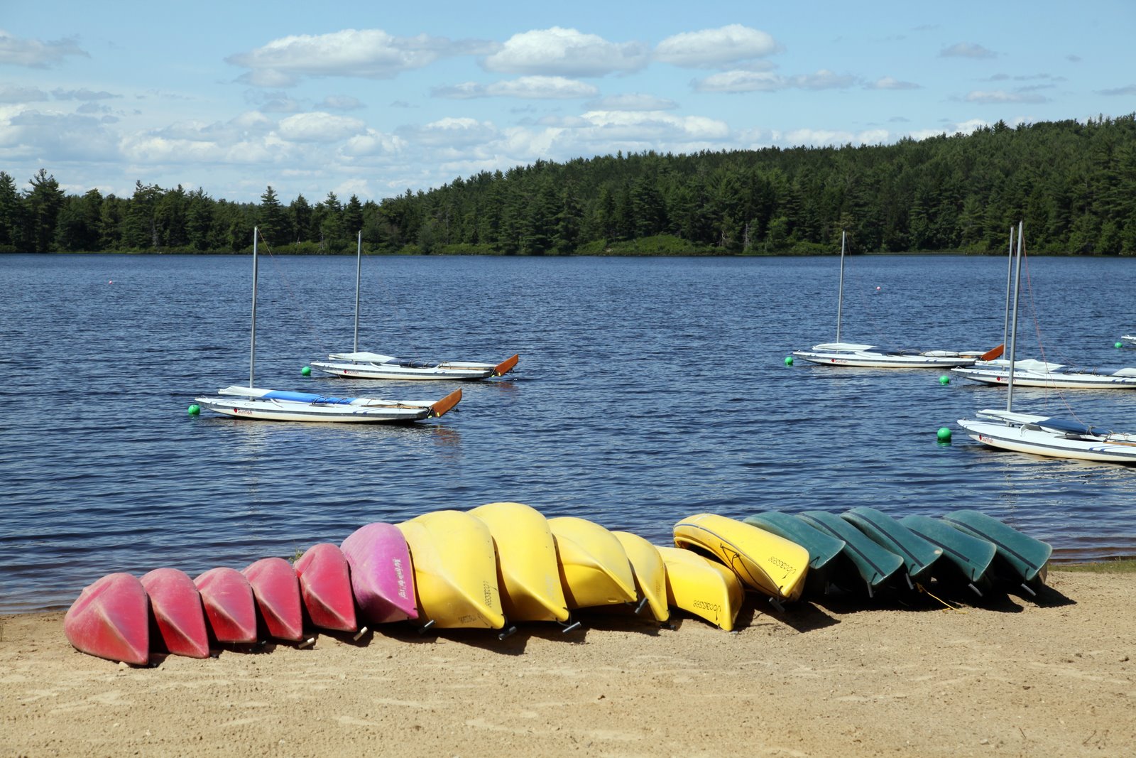 [2009-07-12+145439+1.JPG]