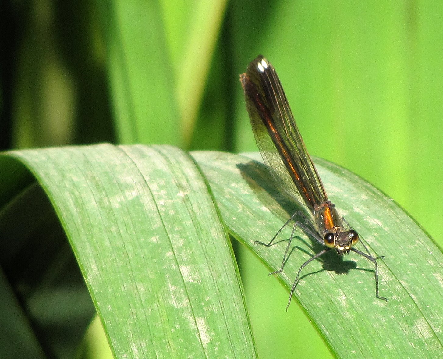 [2009-07-12+170803+4.JPG]