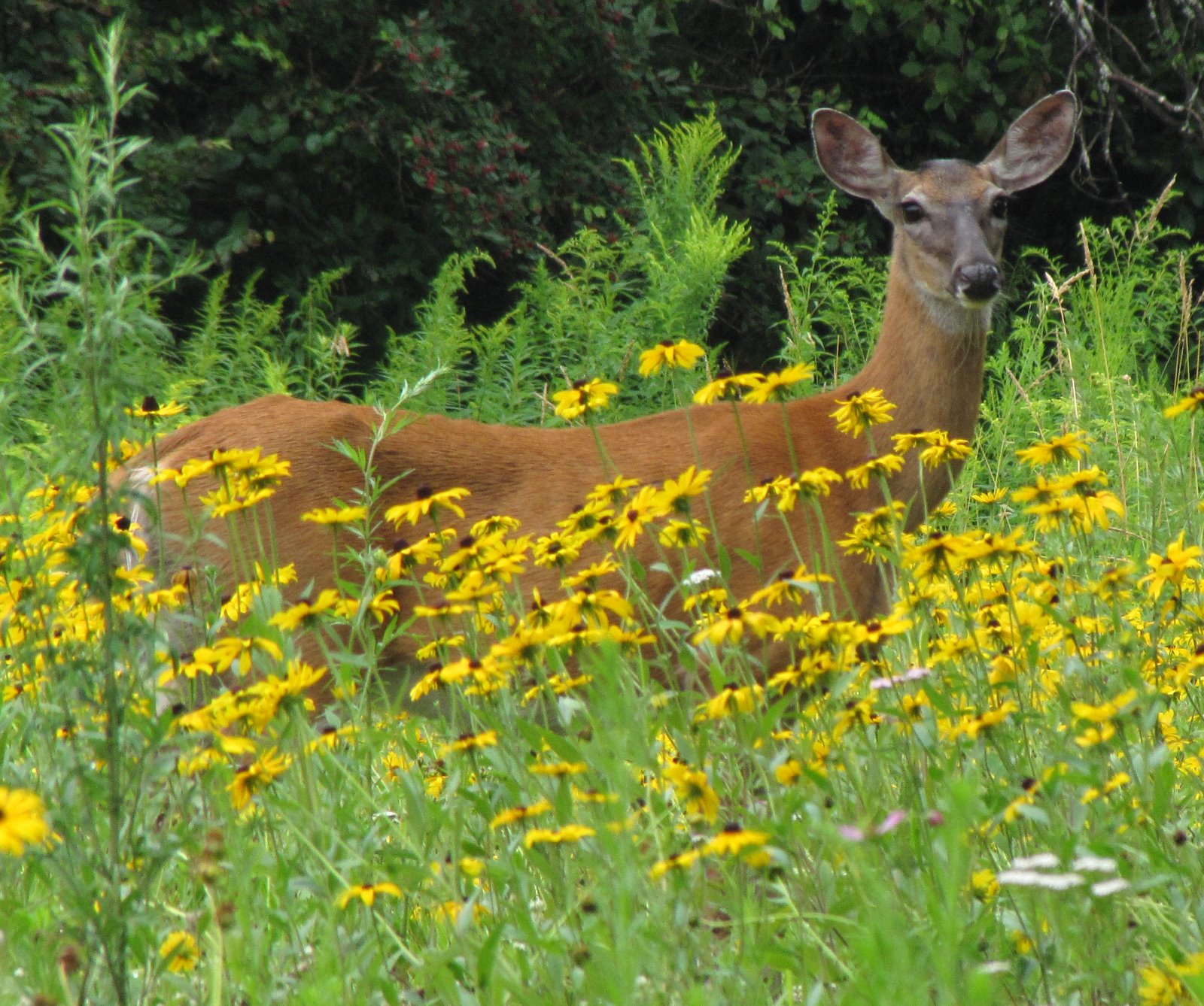 [2009-07-21+085726+5.JPG]