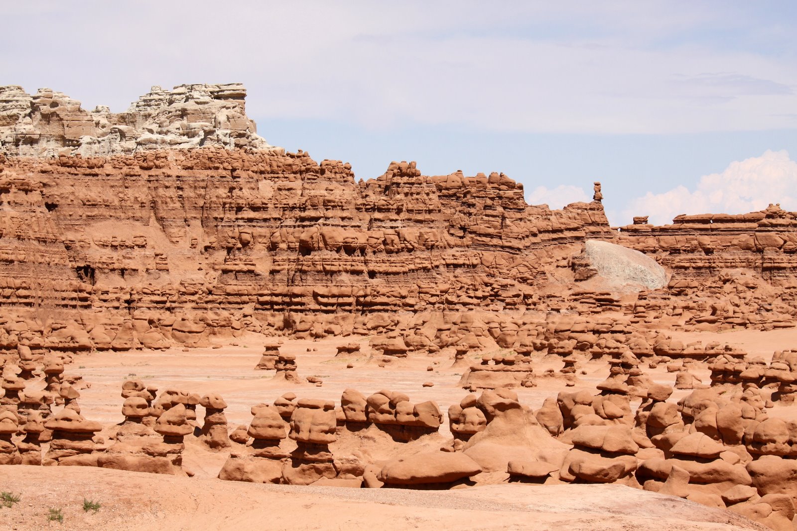 [2009-07-27+143522+5.JPG]