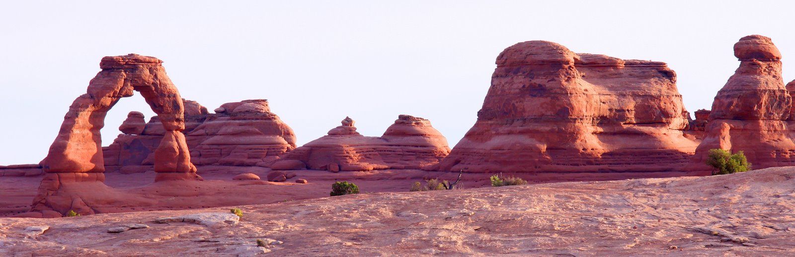 [2009-07-29+064658+8.JPG]