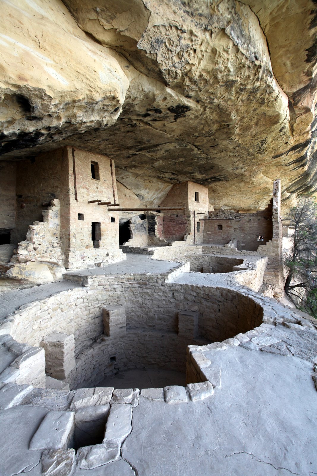 [2009-07-30+125623+7.JPG]