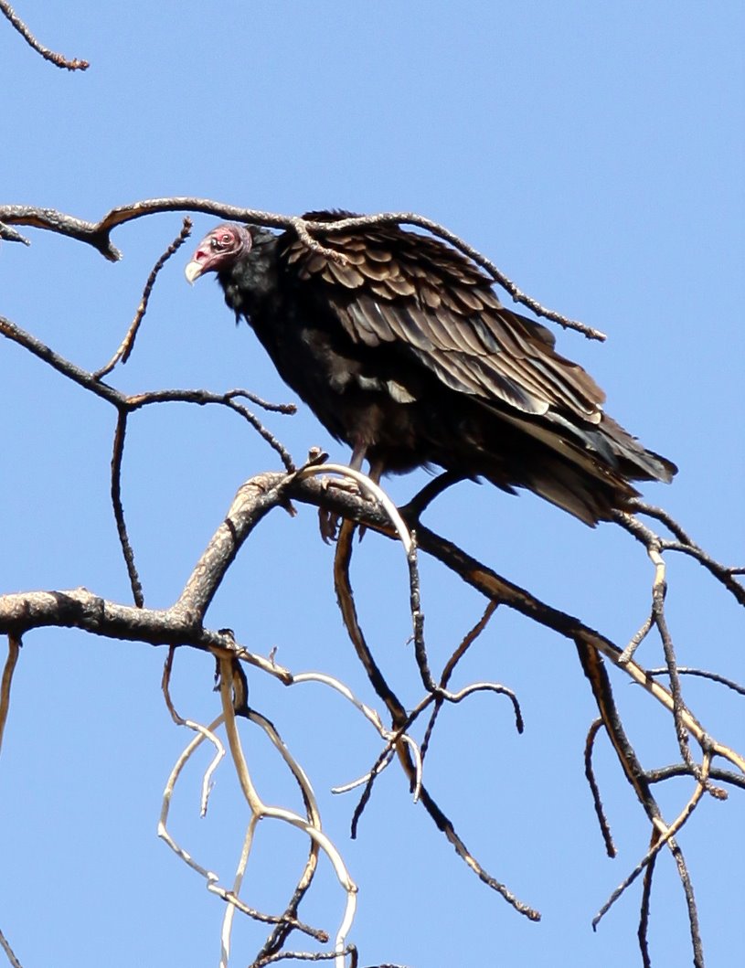 [2009-08-03+100847+3.JPG]