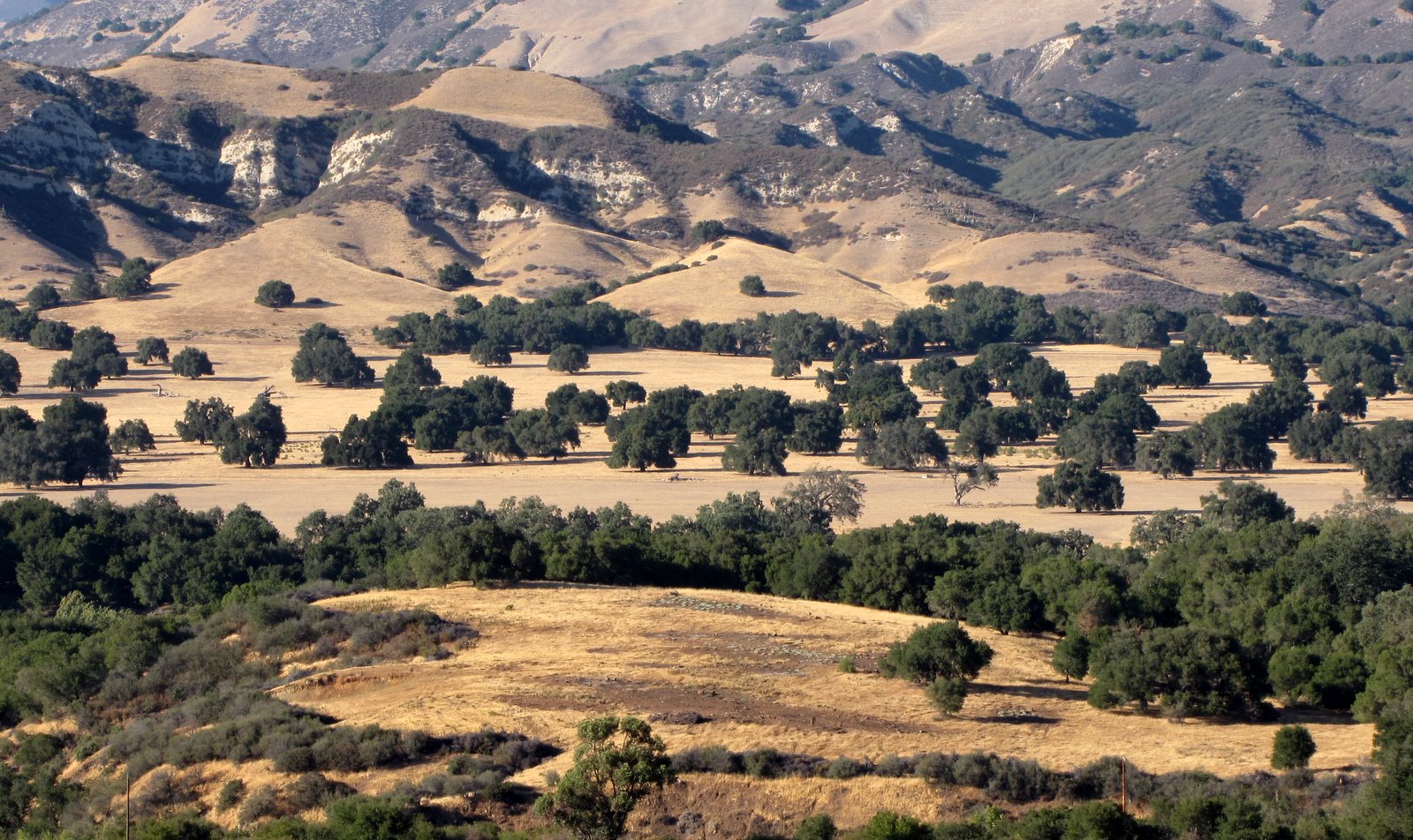 [2009-08-31+194452+7.JPG]