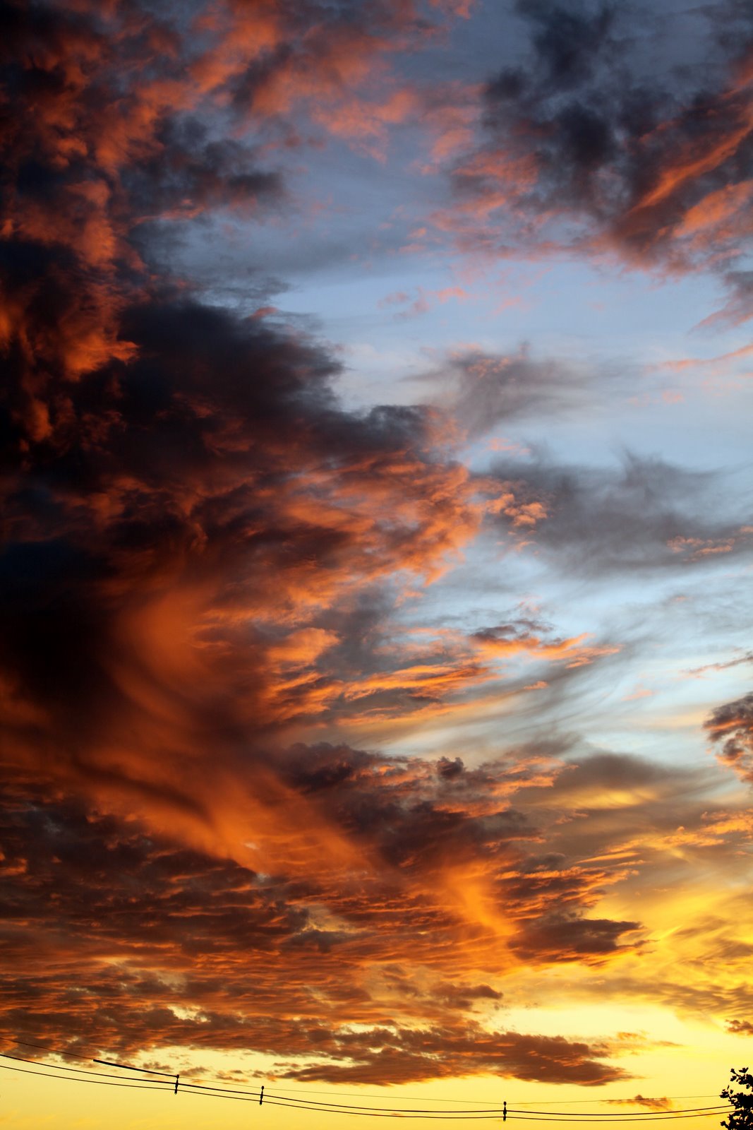 [2009-09-14+190003+5.JPG]