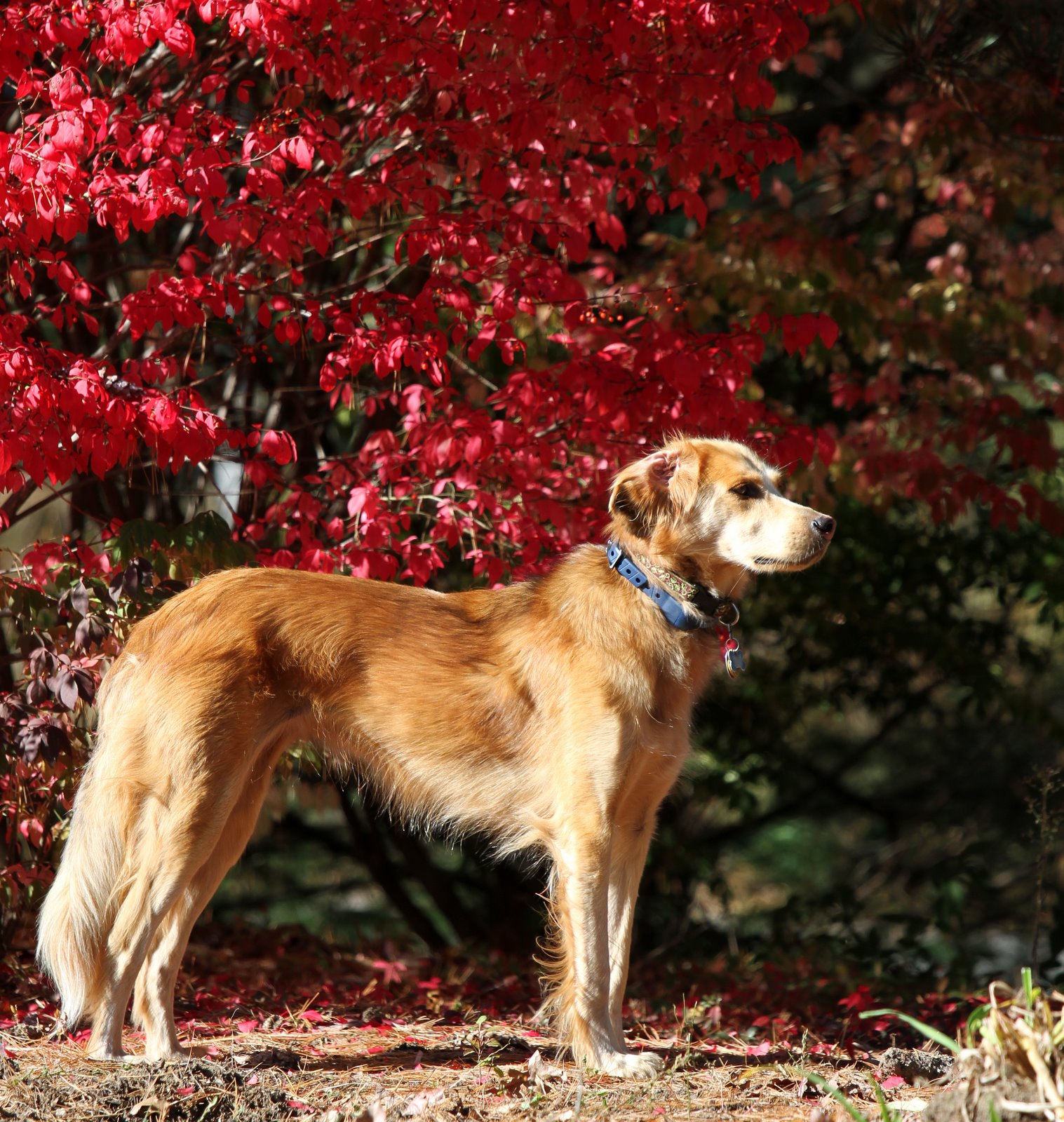 [2009-10-25+132737+761.JPG]