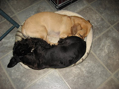 Fast Eddie & Chancey