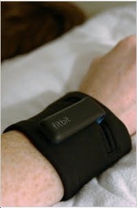 [fitbit4.jpg]