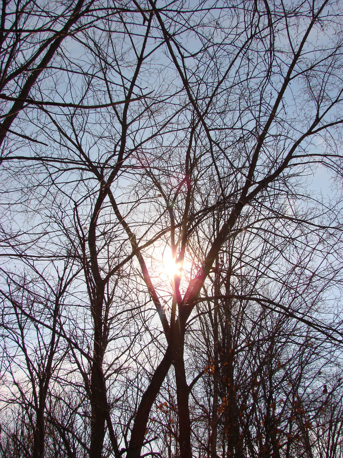 [DSC02759.JPG]