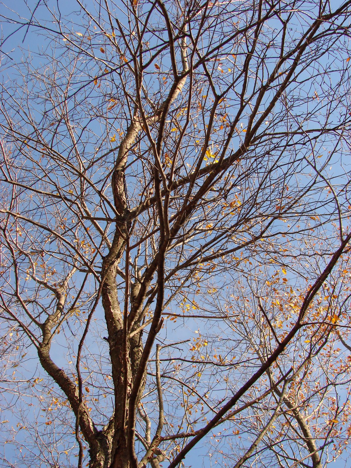 [DSC02751.JPG]