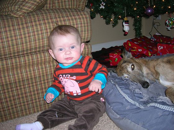 [SierraTree2008.jpg]
