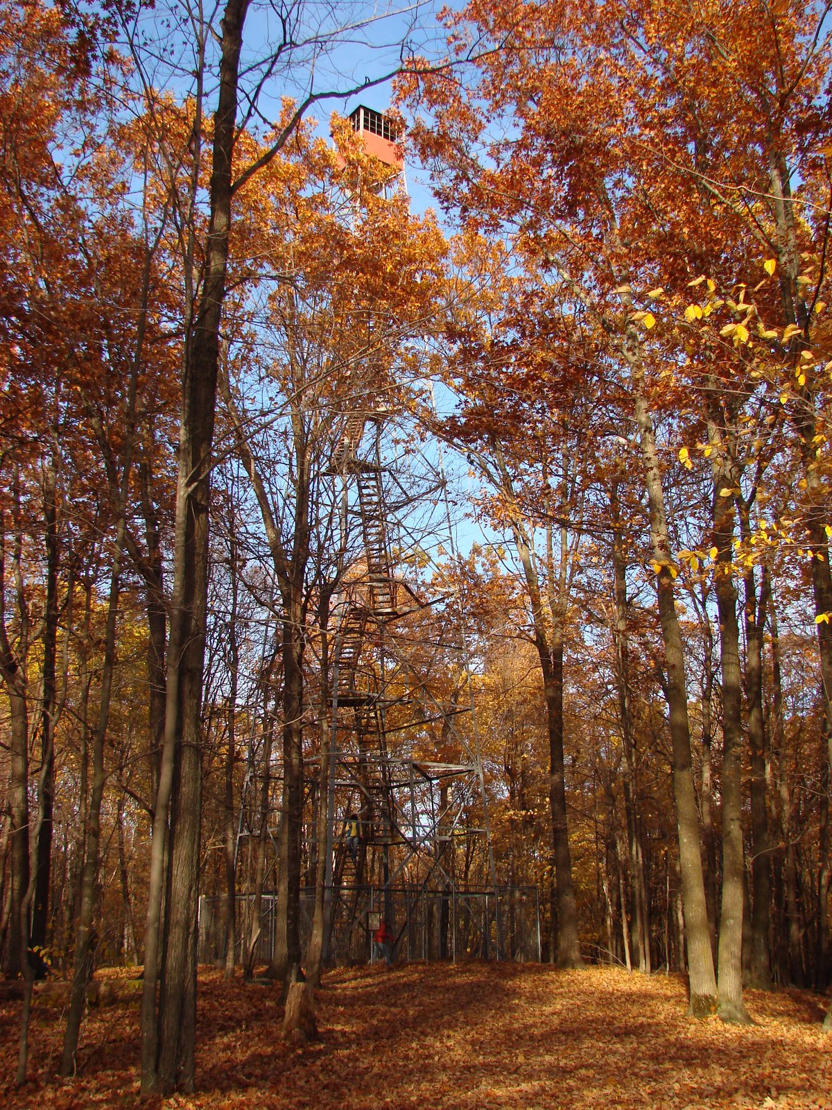 [DSC02661.JPG]
