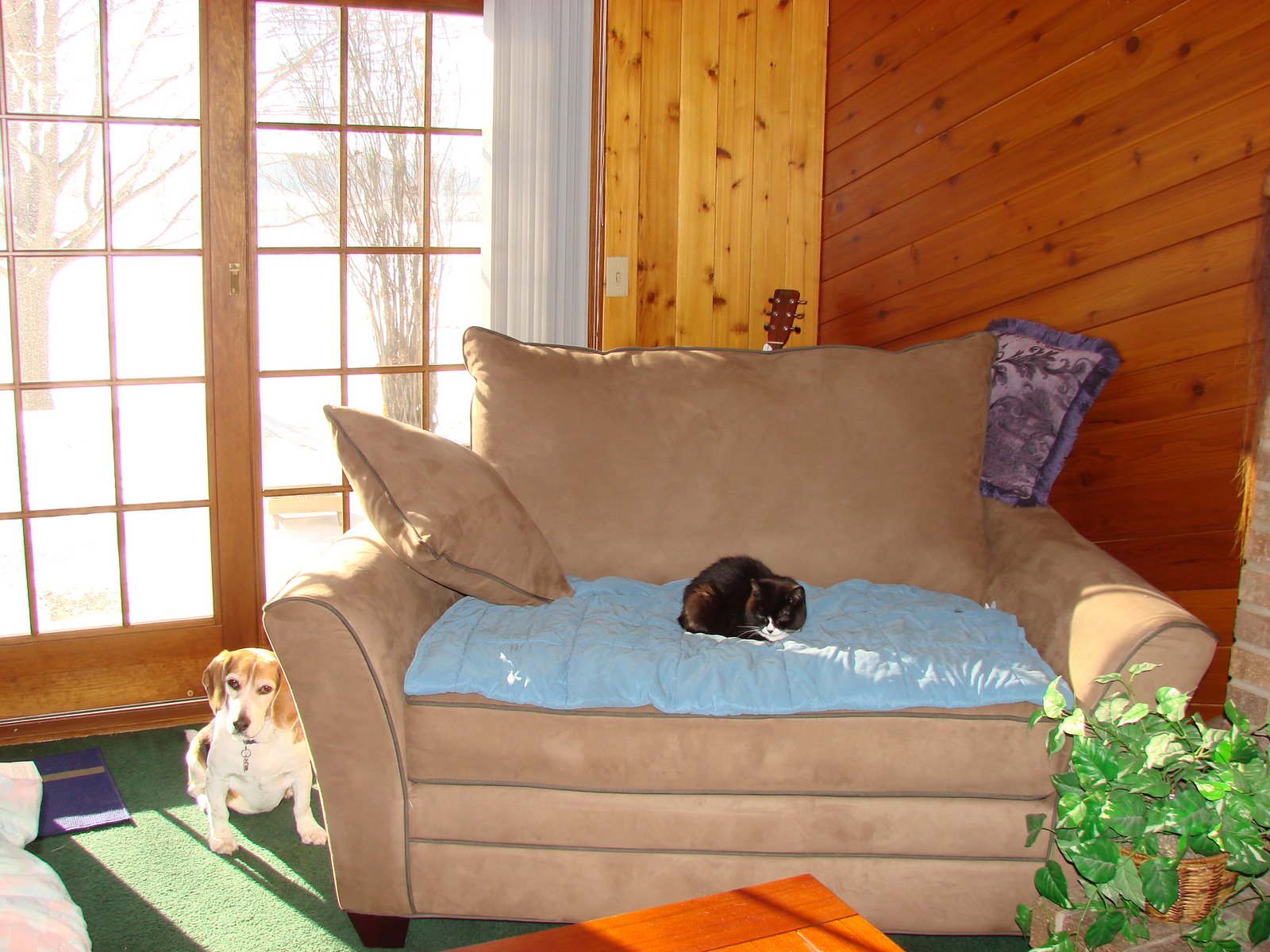 [DSC03266.JPG]