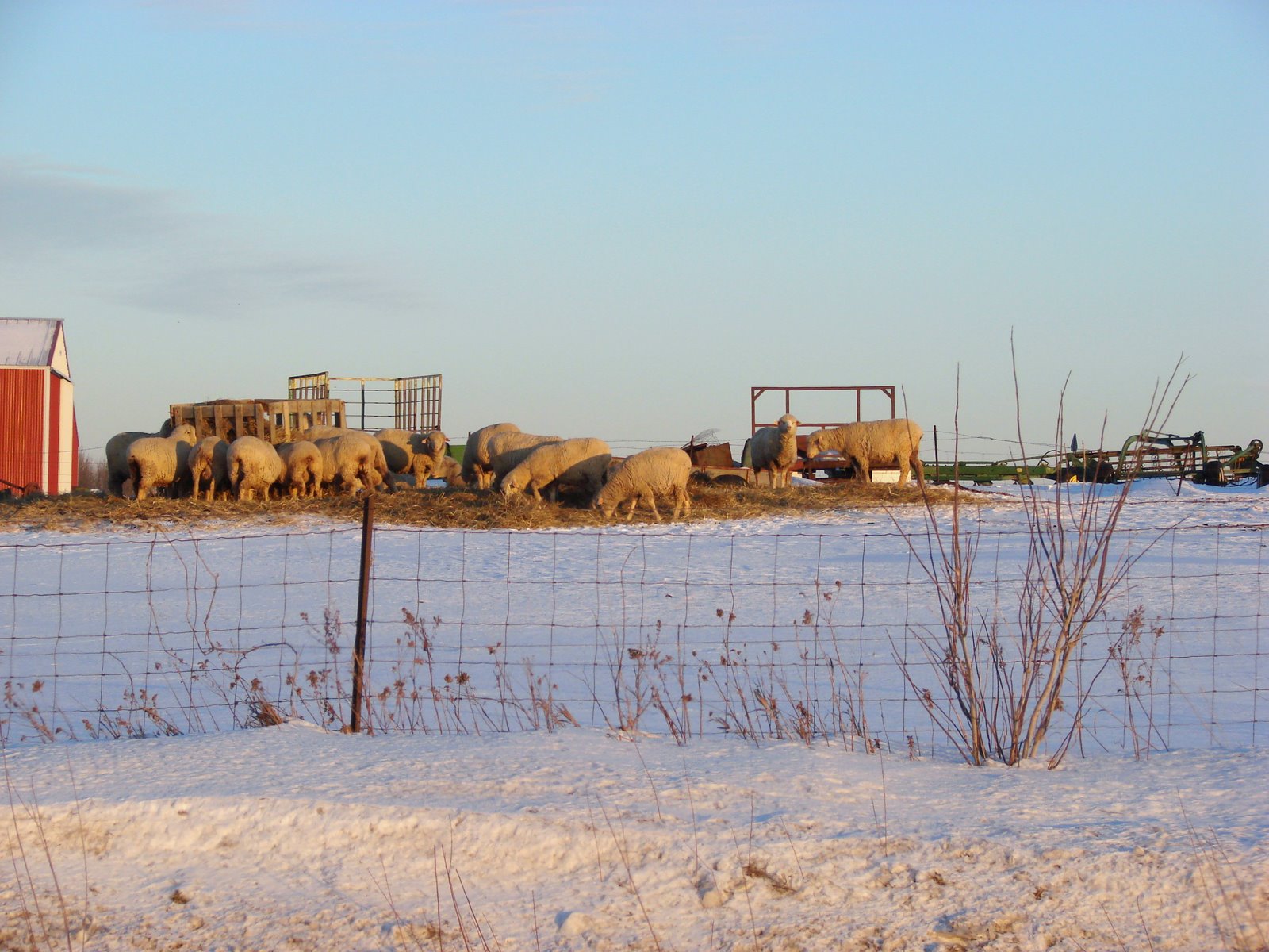 [DSC03589-2.JPG]