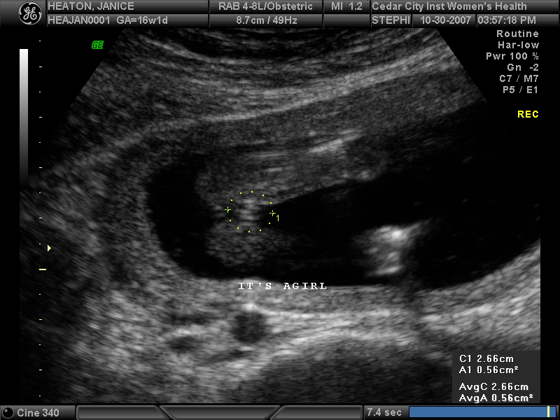 [BABY+HEATON_11.JPG]