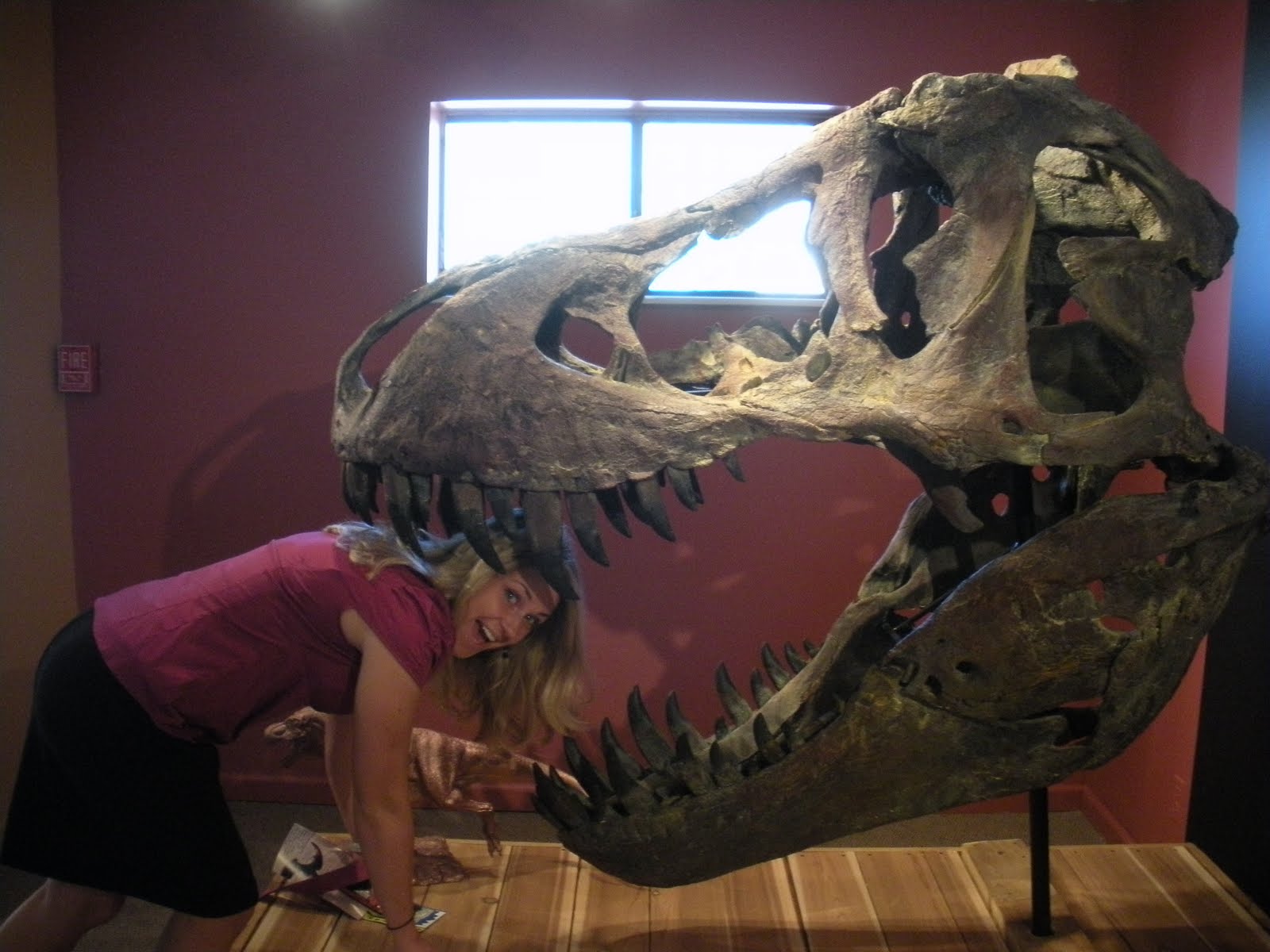 Curiosity and Conversation with Carri Morrison Natural History Museum