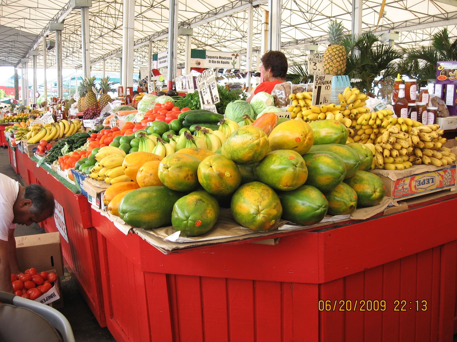 [june+summer+pics+138.jpg]