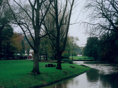 Olympus Trip 35 Photos