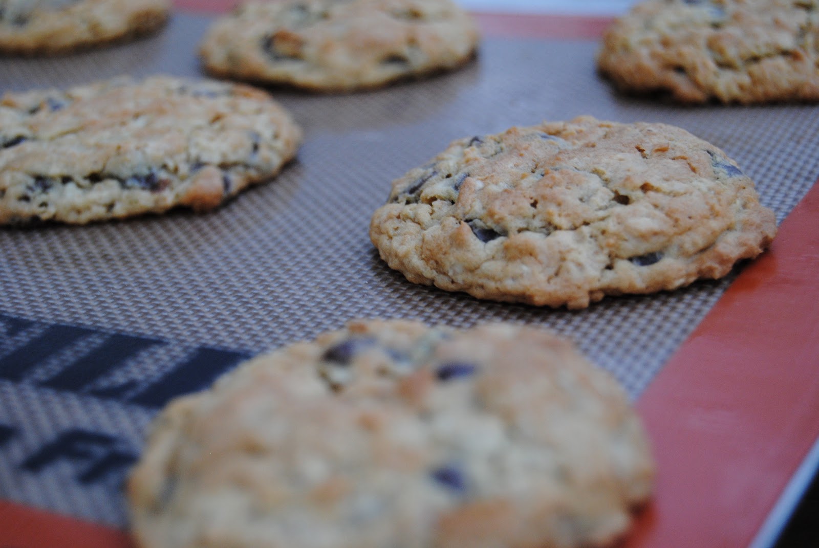 Tasty Sensations Oatmeal Chocolate Chip Cookies (Mrs. Fields Eat