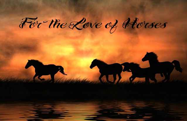 For The Love Of Horses