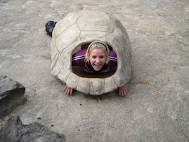 even schildpad aan het spelen :)