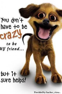 crazy, friends, puppy - Images provided by http://photoforu.blogspot.com/