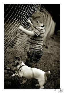 About a boy and his dog  - funny people ( photoforu.blogspot.com )