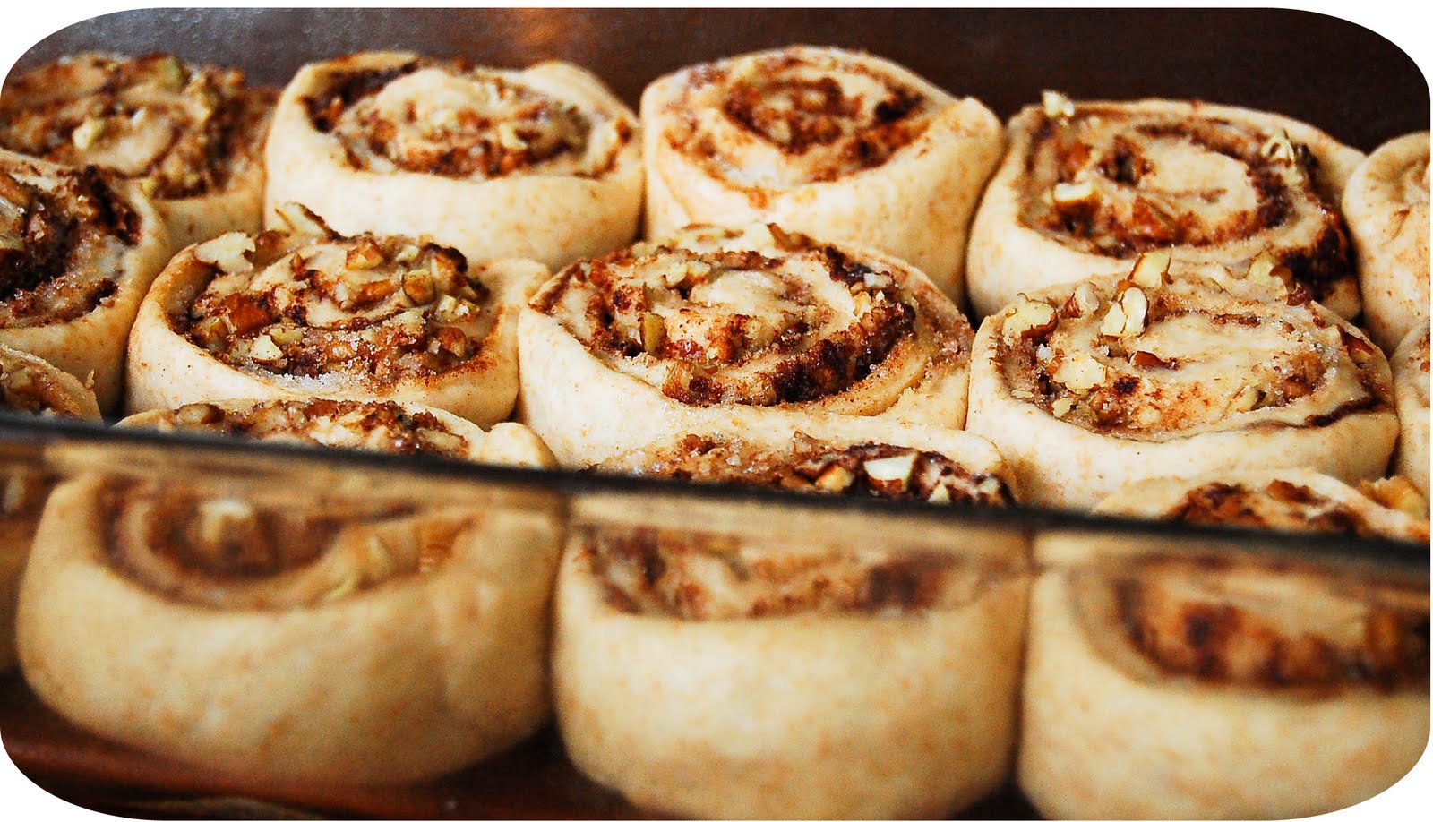 Cinnamon Rolls 101 Cinnamon Rolls 101