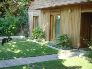 Home Garden Ideas: Landscape Design Ideas