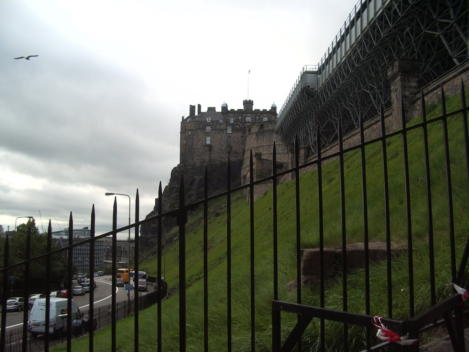 [IMGP2717.JPG]