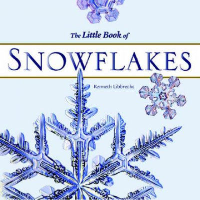 The Little Book of Snowflakes. Kenneth Libbrecht