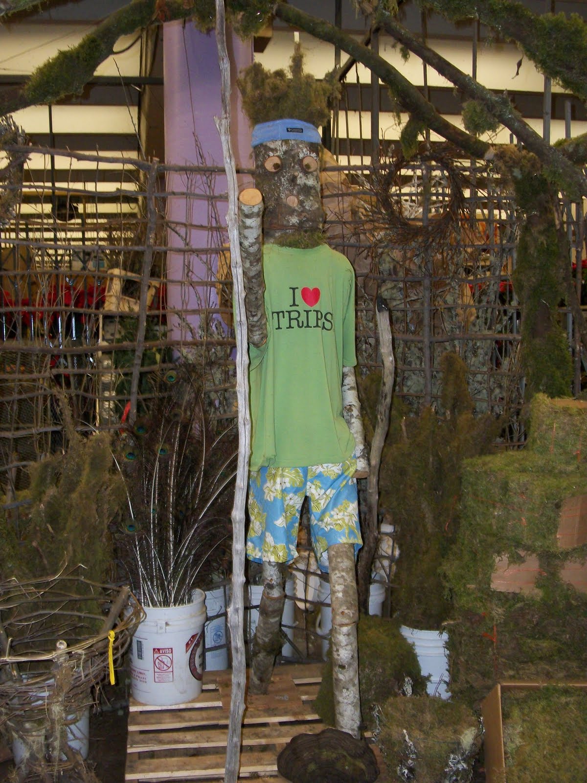 35 in 52 Discovering the real Los Angeles Los Angeles Flower District