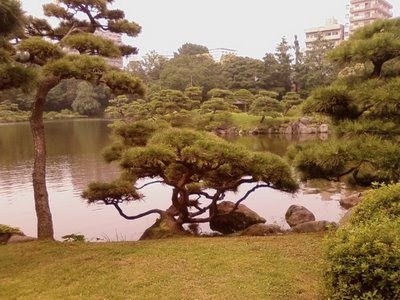 japan greenery