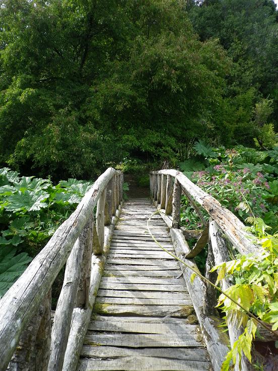 A Garden Tour Anne's Grove, Co. Cork