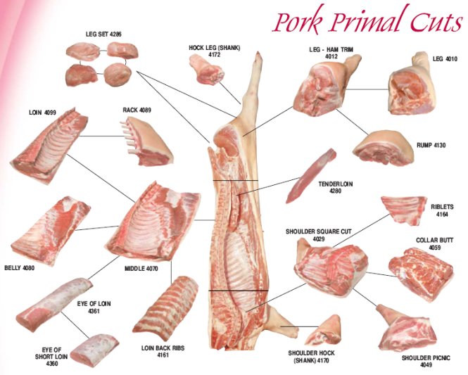 A muslimah's green clinic Dangers of Pork