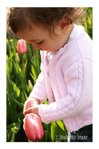 [annieflower-closeup.jpg]